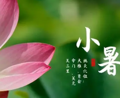 二十四節(jié)氣丨小暑：熱風撲面小暑至 炎炎盛夏于此始